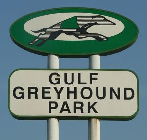 The Gulf Greyhound Park is the last dog racing course in Texas and will close at the end of the year.