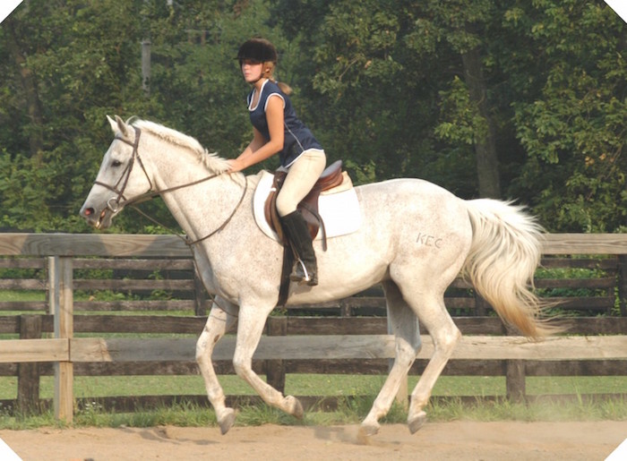 Woodlands_Riding_Academy